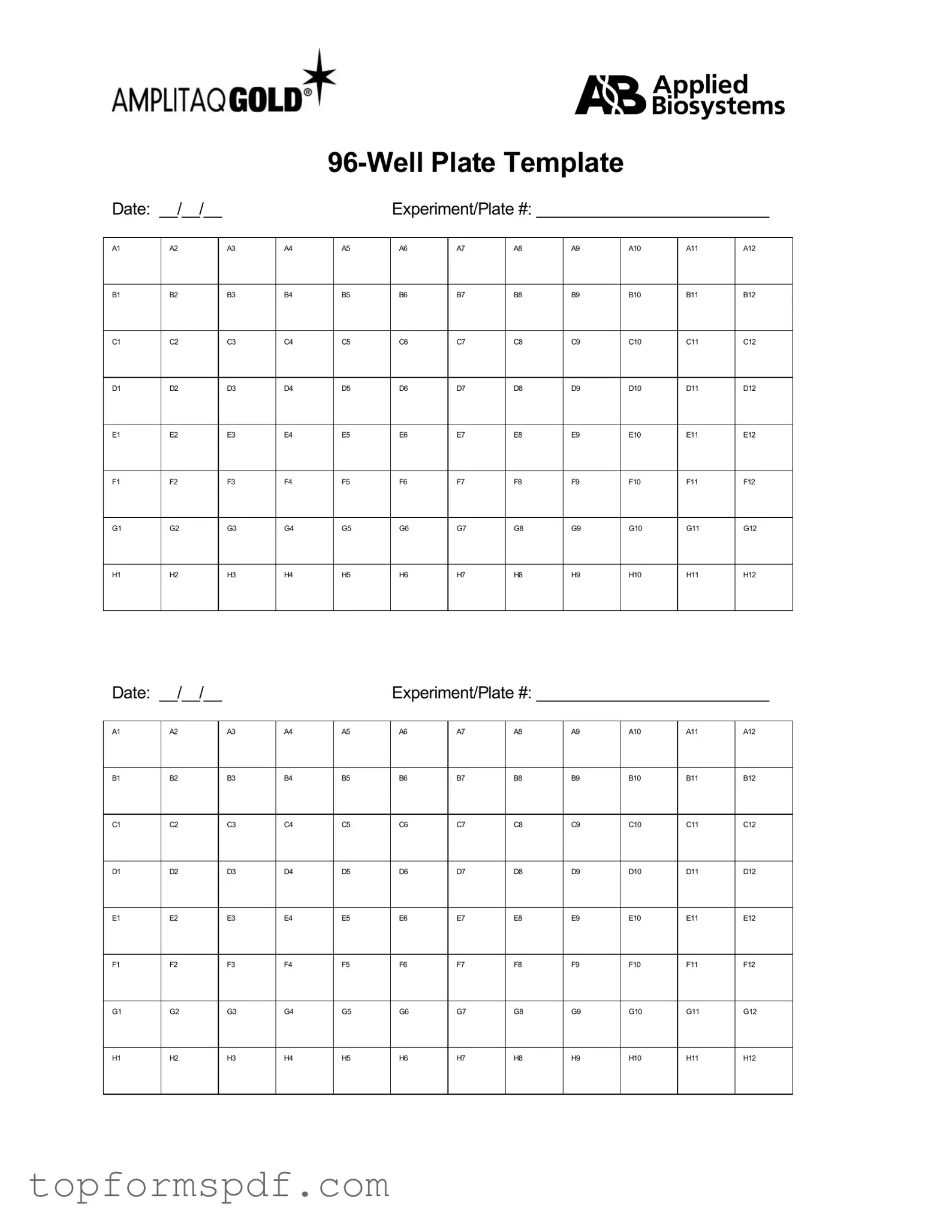 96 Well Template