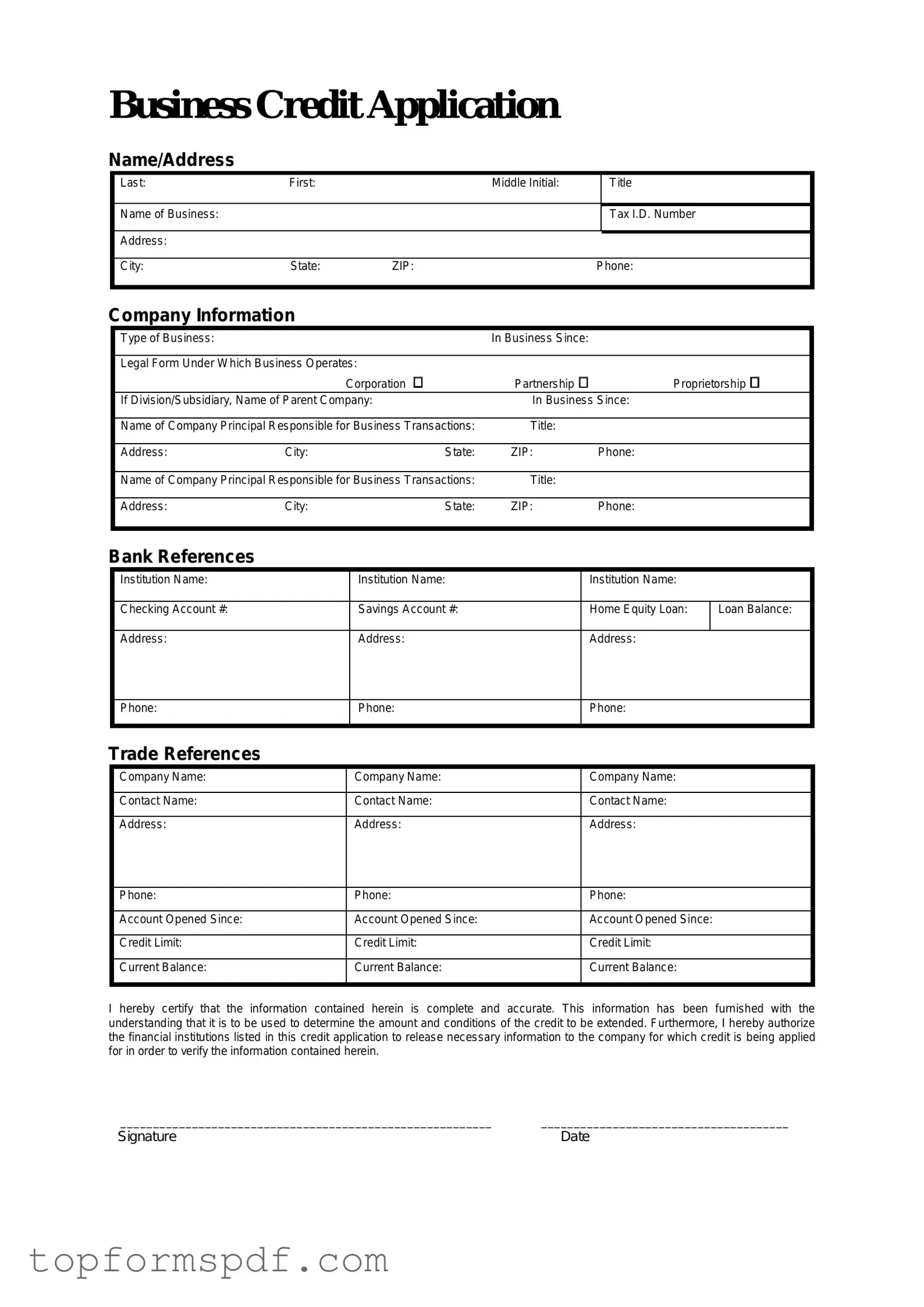 Business Credit Application Template