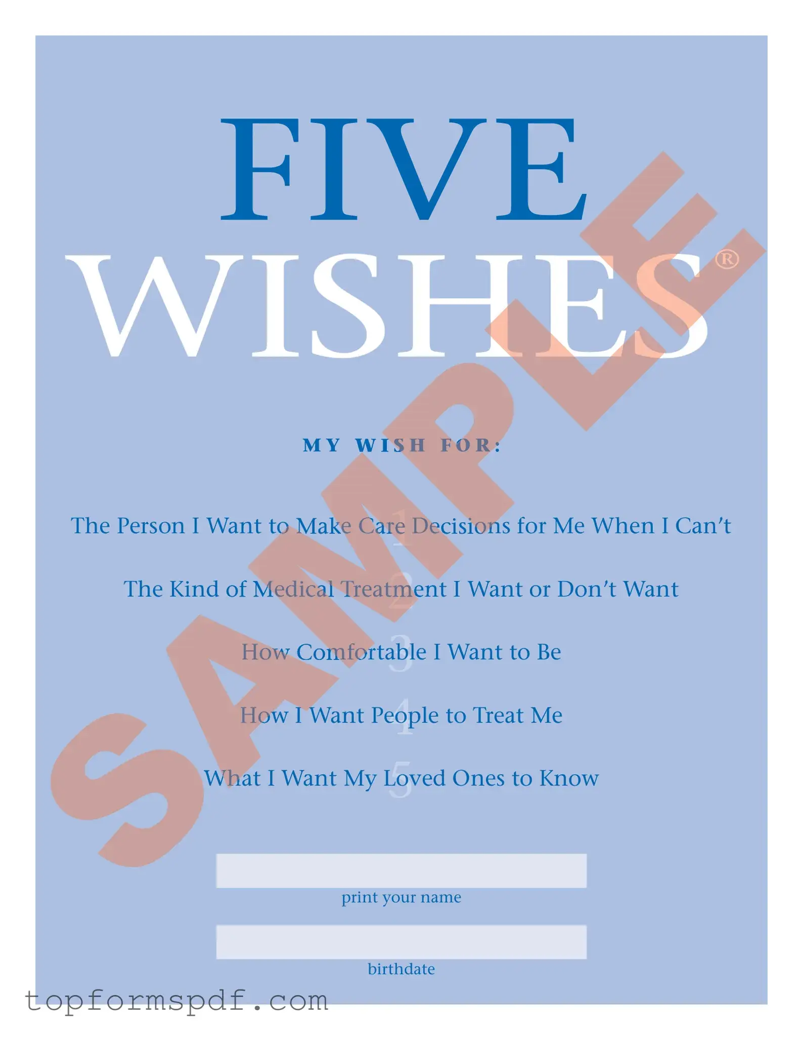 5 Wishes Document Template
