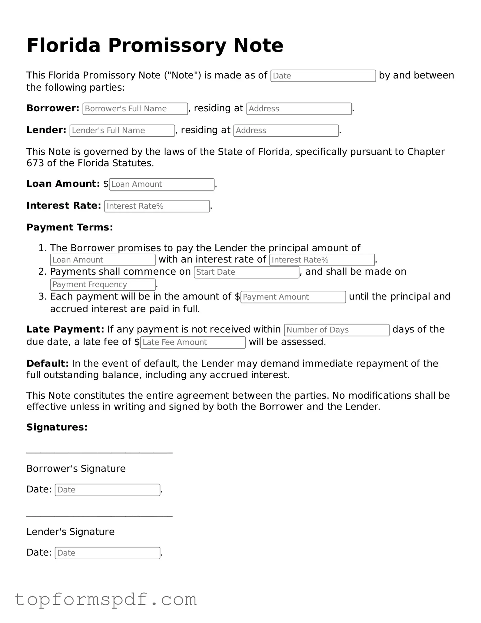 Blank Florida Promissory Note Template