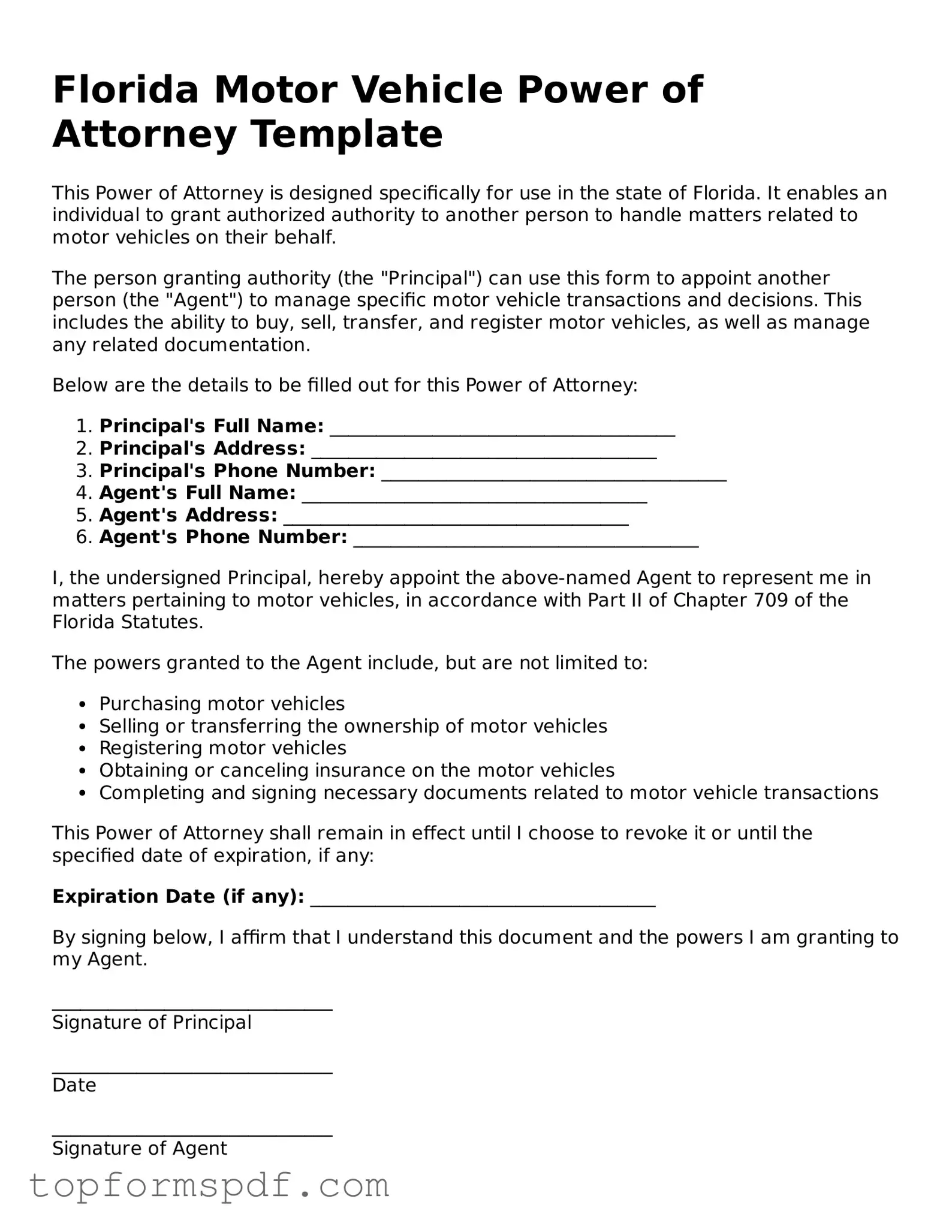Blank Florida Motor Vehicle Power of Attorney Template
