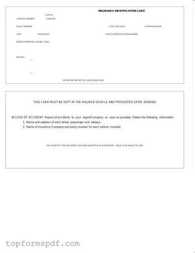 Auto Insurance Card Template