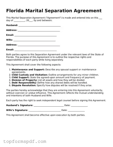 Blank Florida Marital Separation Agreement Template