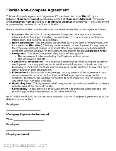 Blank Florida Non-compete Agreement Template