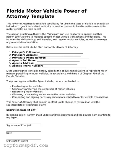 Blank Florida Motor Vehicle Power of Attorney Template