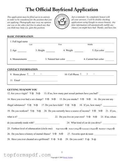Boyfriend application form Template