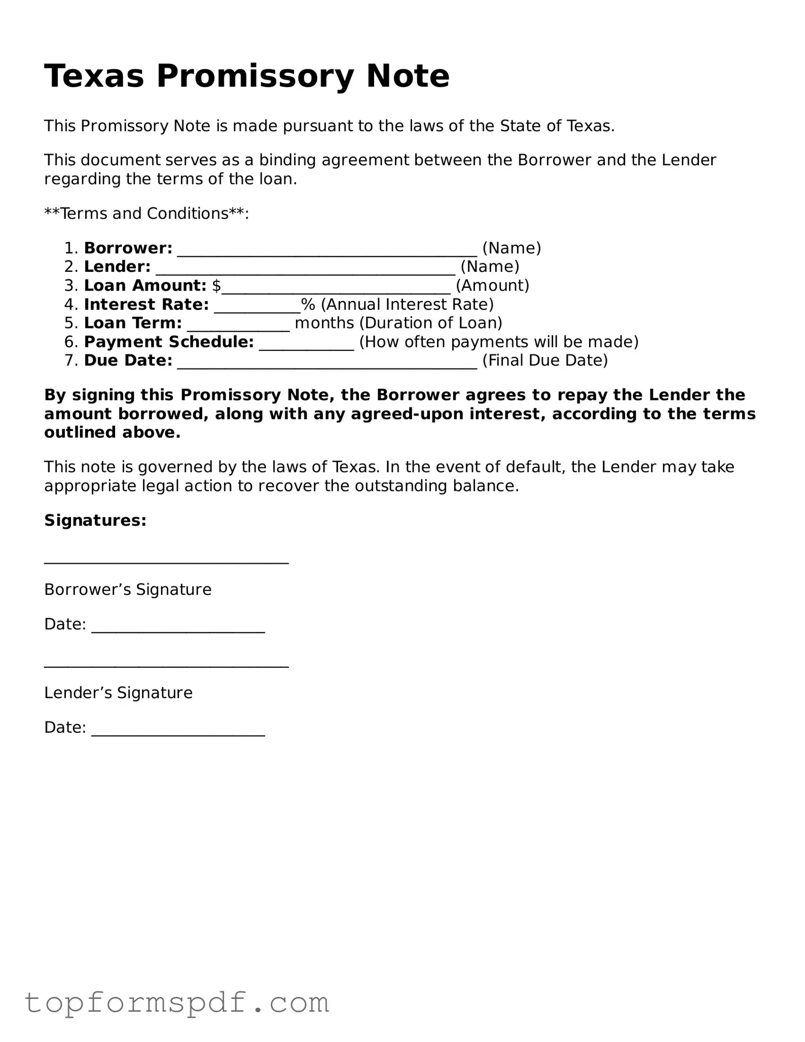 Blank Texas Promissory Note Template